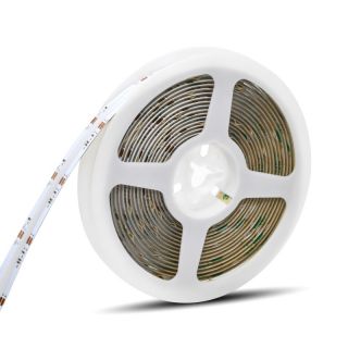 608LED/m 双色温COB灯带｜DC24V可调色温柔性LED灯带 - 1