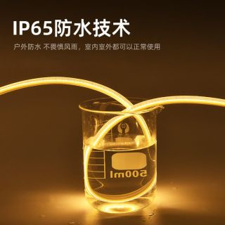 COB高压灯带｜AC220V长距离供电LED灯带｜100米工程亮化应用 - 2