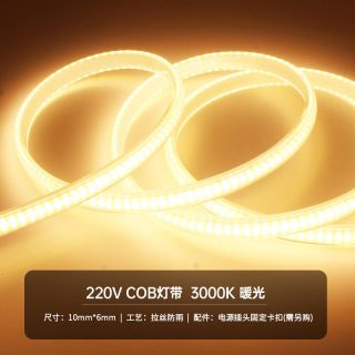 COB高压灯带｜AC220V长距离供电LED灯带｜100米工程亮化应用 - 5